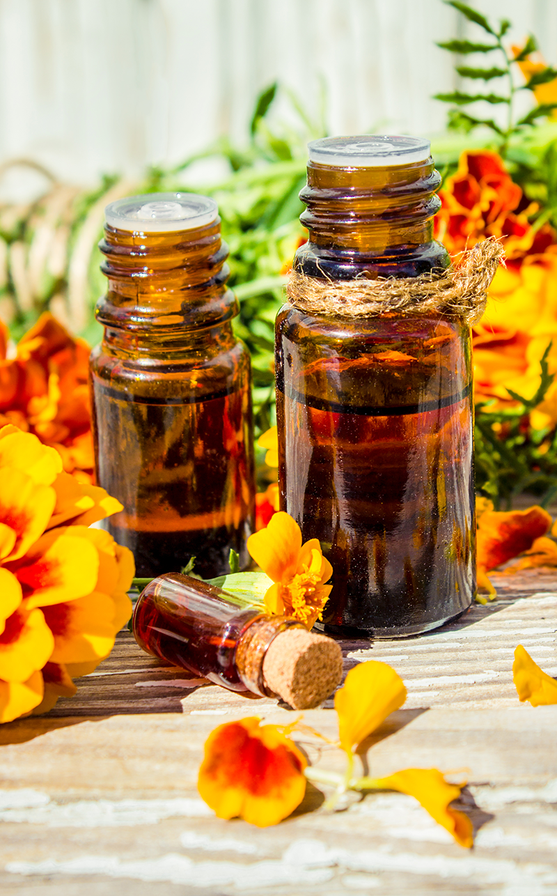 macerat calendula